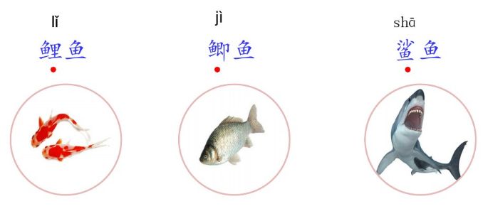 部编三年级上册语文课后练习答案,部编版三年级语文课后练习题答案