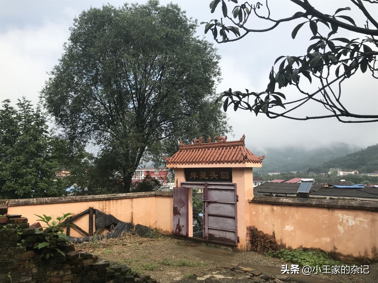 大山里，有一趟可以赶集的绿皮车|8361次汉中—阳平关