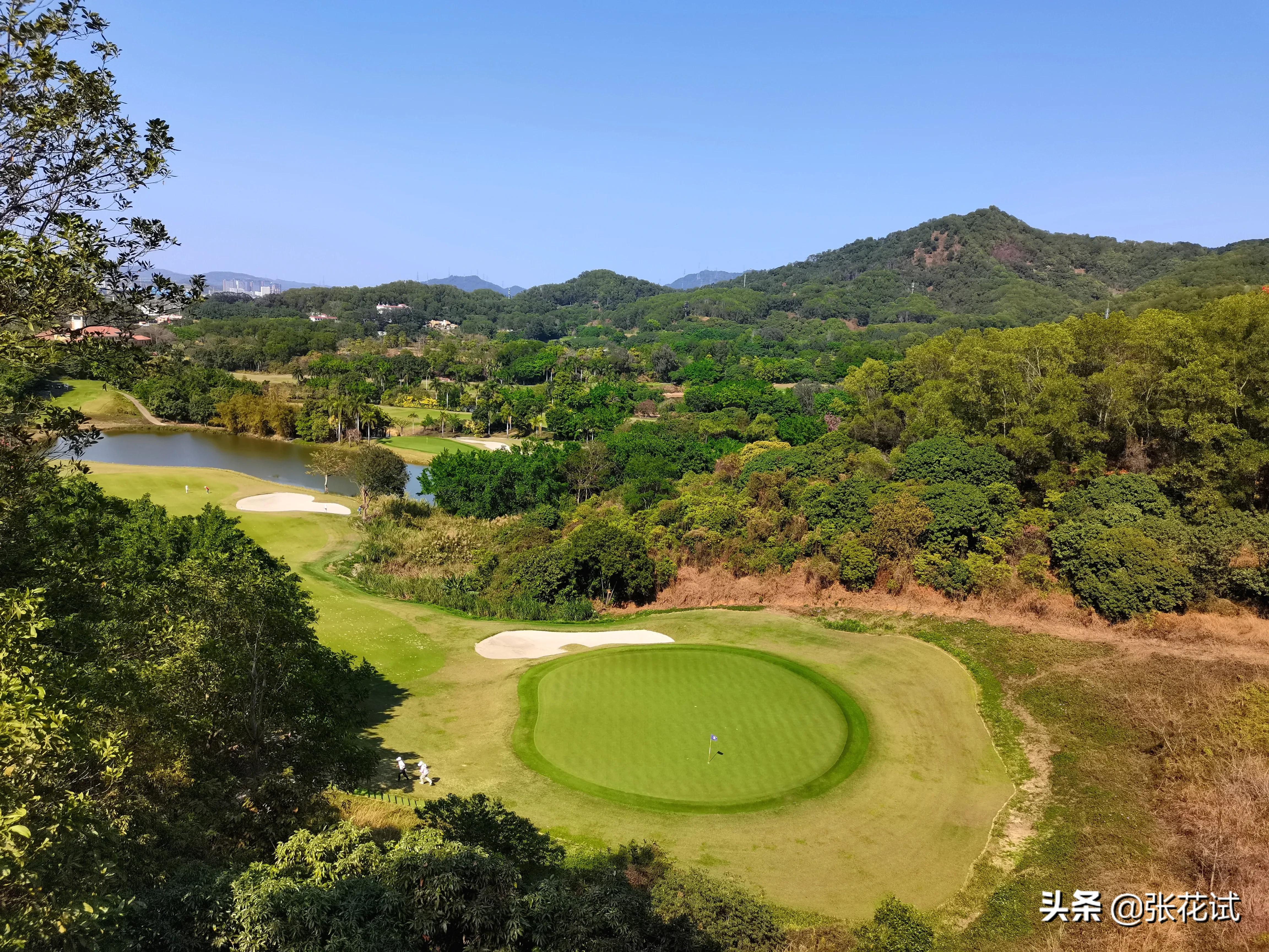 新春踏上深圳光明“虹”地毯，牛年红红火火
