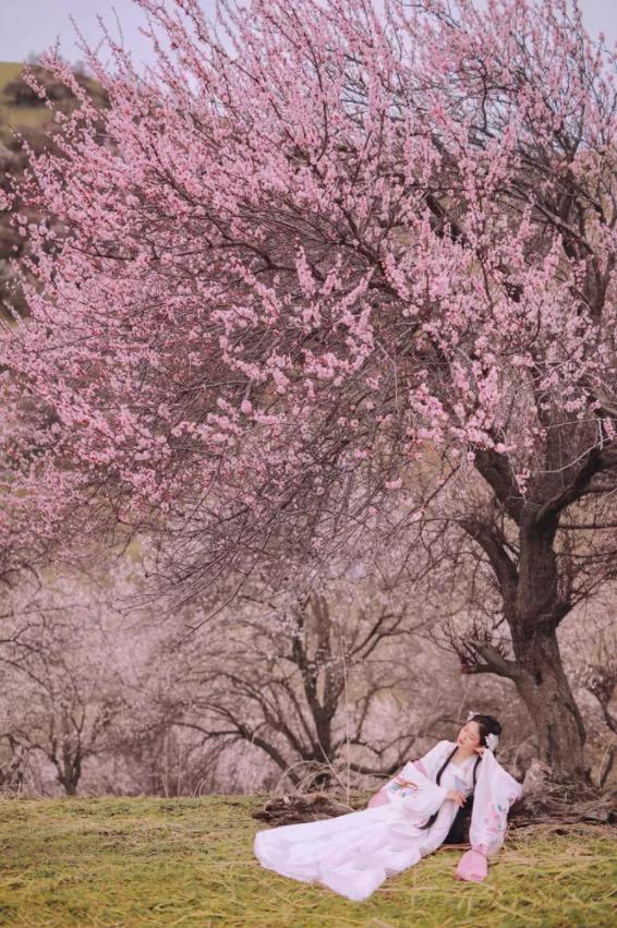 题都城南庄留给了我什么印象,题都城南庄深度解读