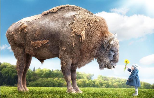 怎样快速熟练修图,ps从零开始学修图详细教程