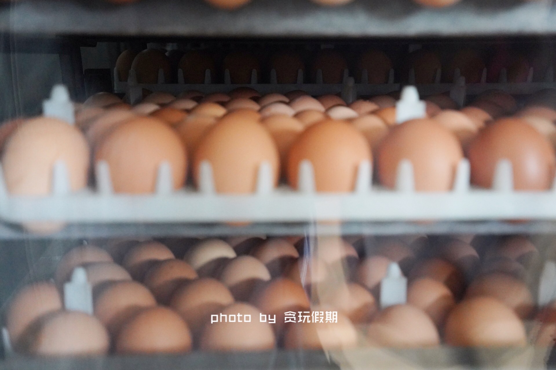 周末去河北攻略,周末到河北看海