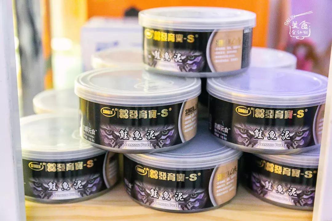 吃饭玩耍一体店,吃饭撸猫二选一