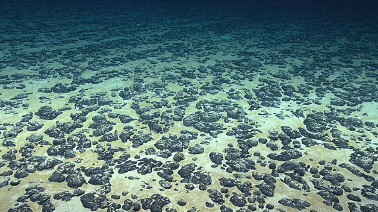 海底5000米发现神秘史前怪物,海底发现5500米的生物