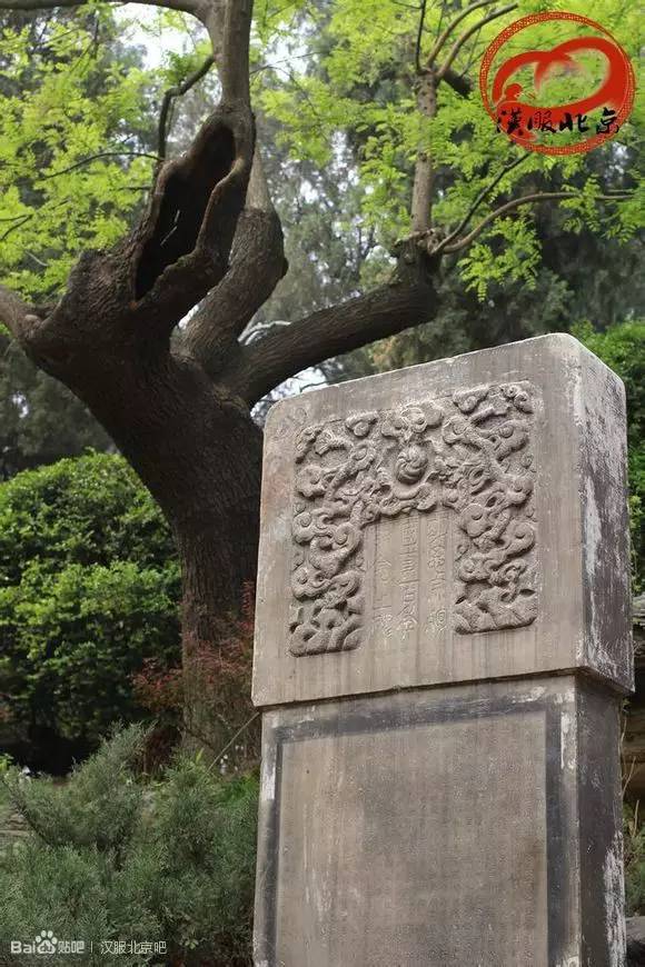 景山公园崇祯皇帝吊死的树在哪,寻找朱由检