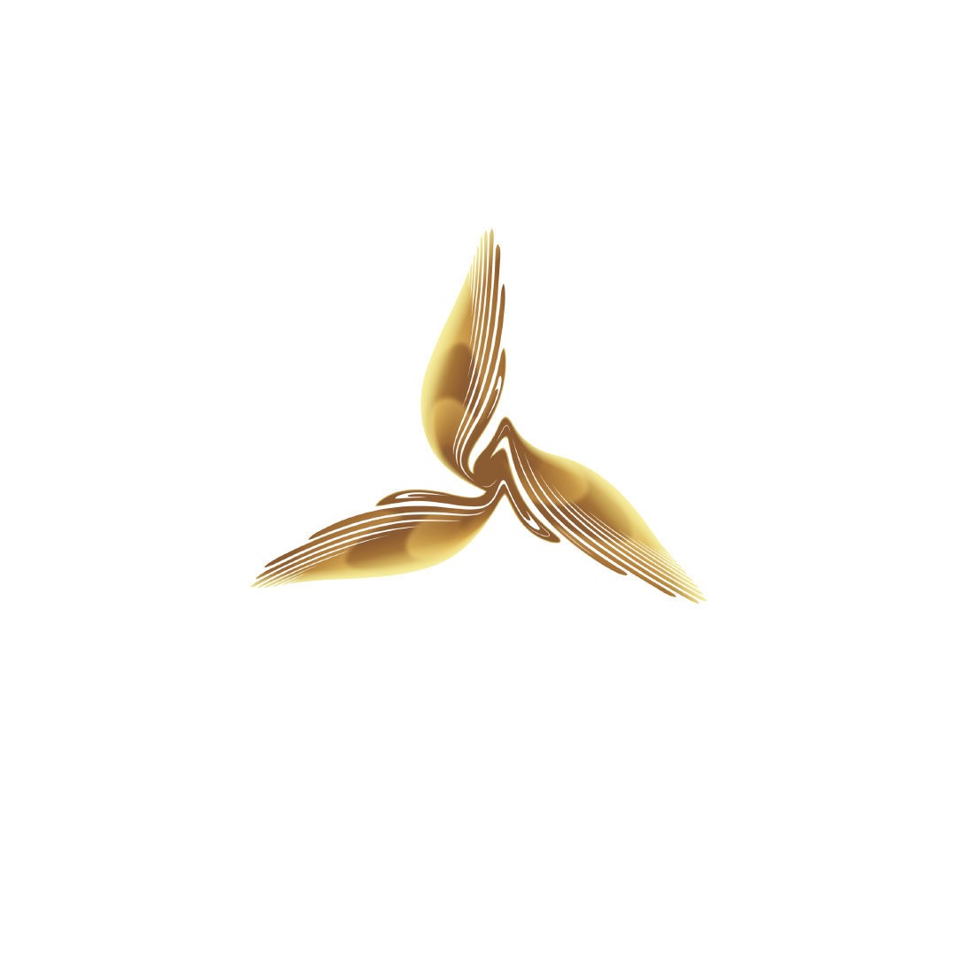 海尔发布会三翼鸟,海尔三翼鸟展厅