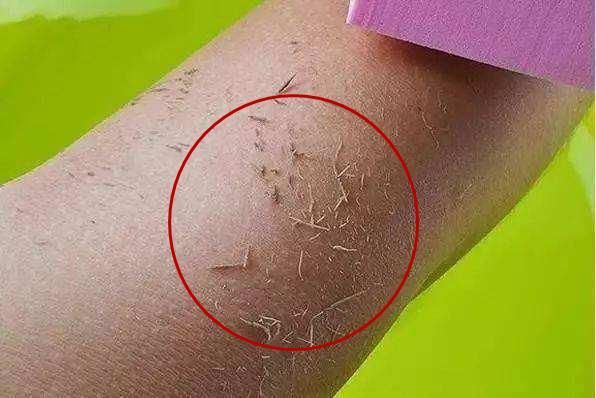 洗热水澡能提高抵抗力吗,洗冷水澡能提高免疫力吗