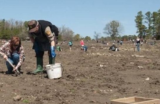 最值得去的5个公园挖钻石,全球最便宜钻石公园在哪里