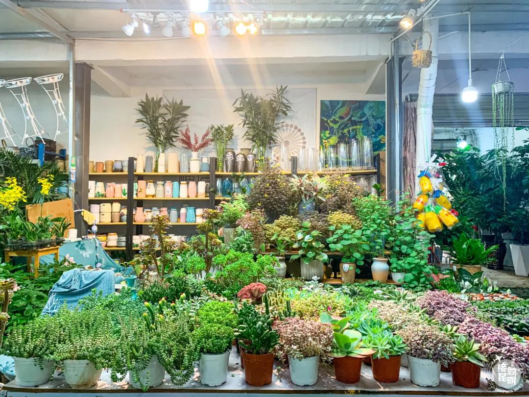 昆明鲜花进货渠道,昆明尚义花市