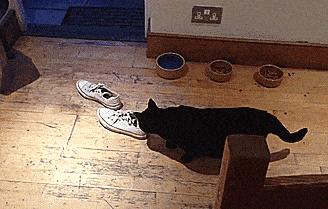 烘鞋器除臭家用暖鞋神器视频,烘鞋神器能烘湿鞋