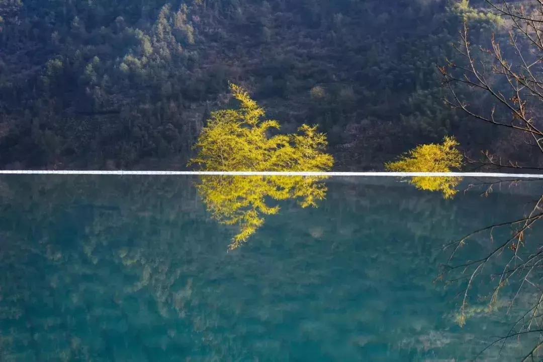 把千岛湖“装”进自家民宿，做了一个无敌湖景泳池，让无数人尖叫