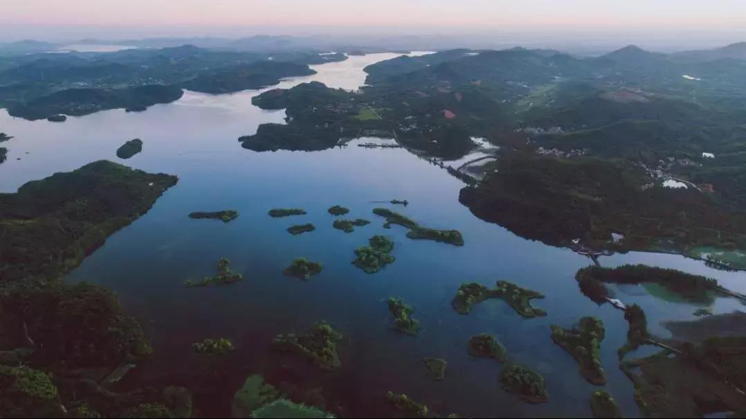 火遍江浙的东南亚餐厅,火遍江浙沪