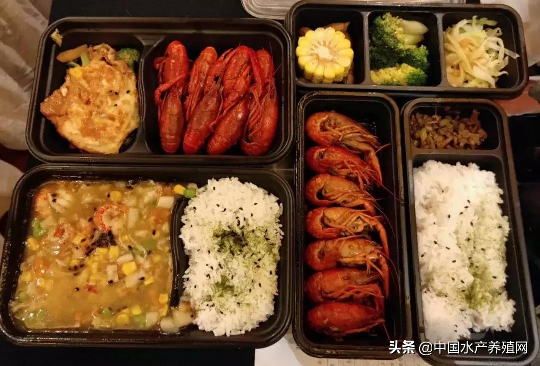 潜江稻田小龙虾产量,虾稻米产量