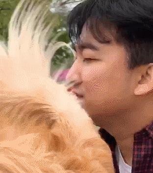 怀孕了，就把狗扔了吧，多脏啊