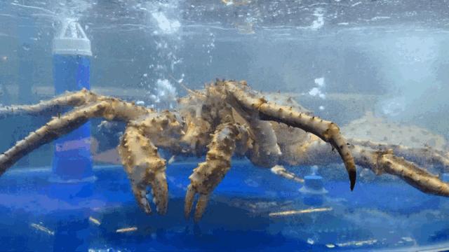 兰州好吃又实惠的海鲜,兰州值得推荐海鲜店