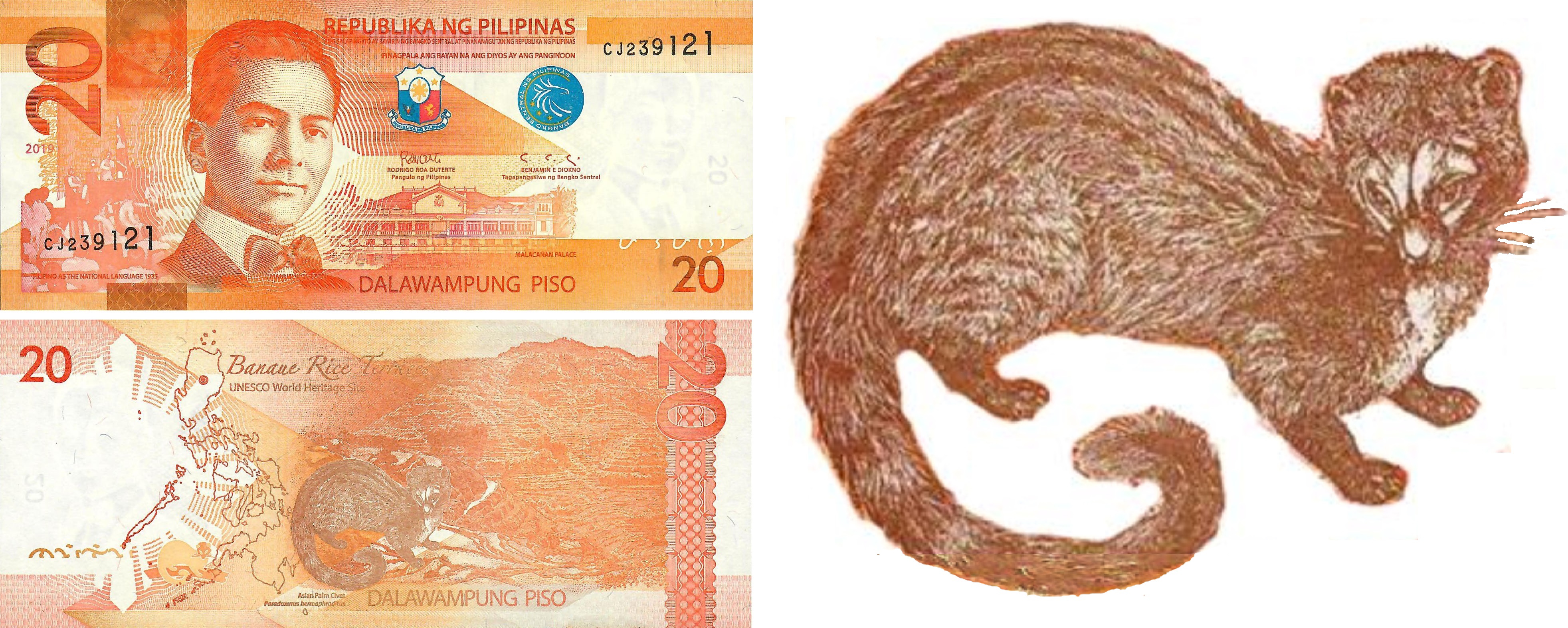 菲律宾人10大必买品,菲律宾十大特产零食