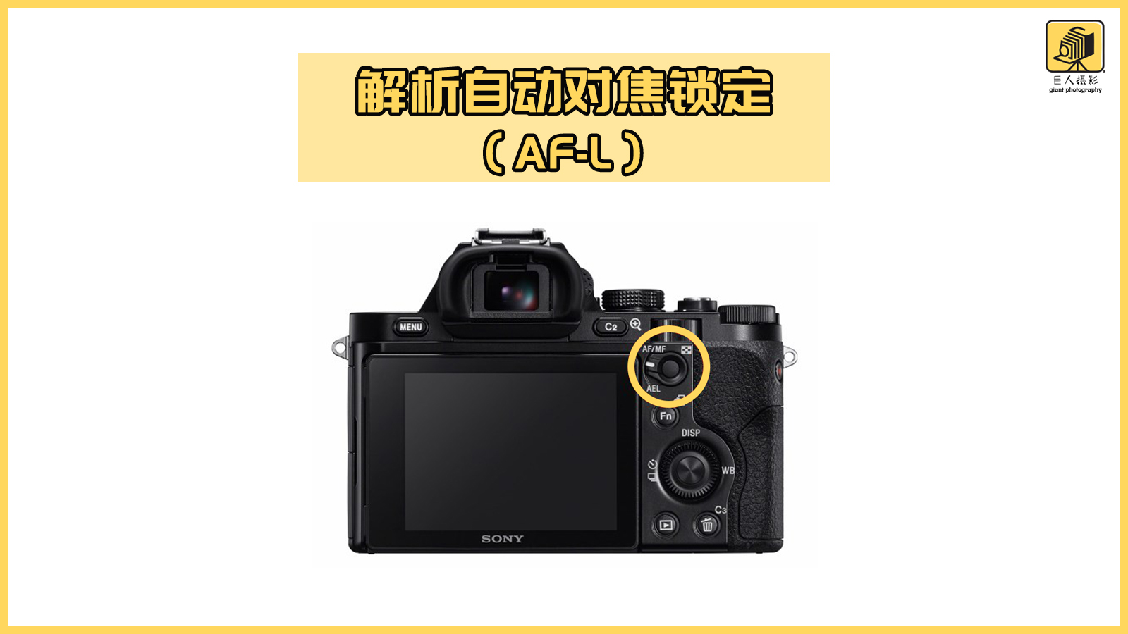 摄影新手必学自动对焦模式详解,锁定曝光和锁定对焦的拍照方式