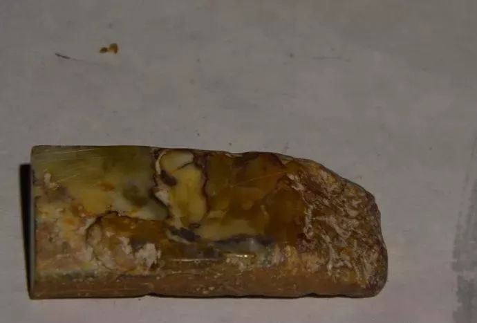 你一定没见过的广应寺坪石，样子俨然如古玉