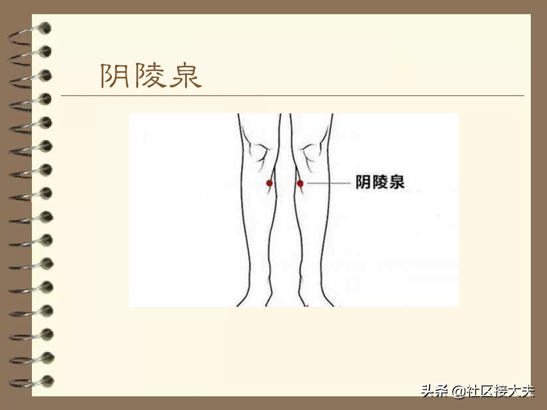 泄泻针灸哪些穴位,常见病针灸穴位