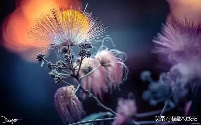 胎儿后期发育慢是什么原因,怀孕后期羊水少是什么原因