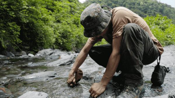 他把工作丢着，专找美景荒地吃饭：这是一天最好的时候