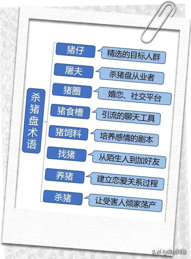 南京一周发生6起大额“杀猪盘”诈骗案,共被骗1089万,受害人全是高知女性