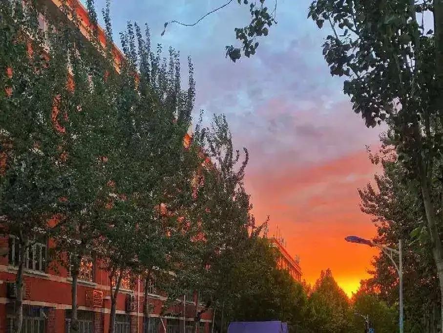 北京科技大学天津学院原独立学院,北京科技大学天津学院独立学院