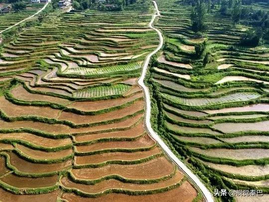 今天，我要夸夸我的通江县