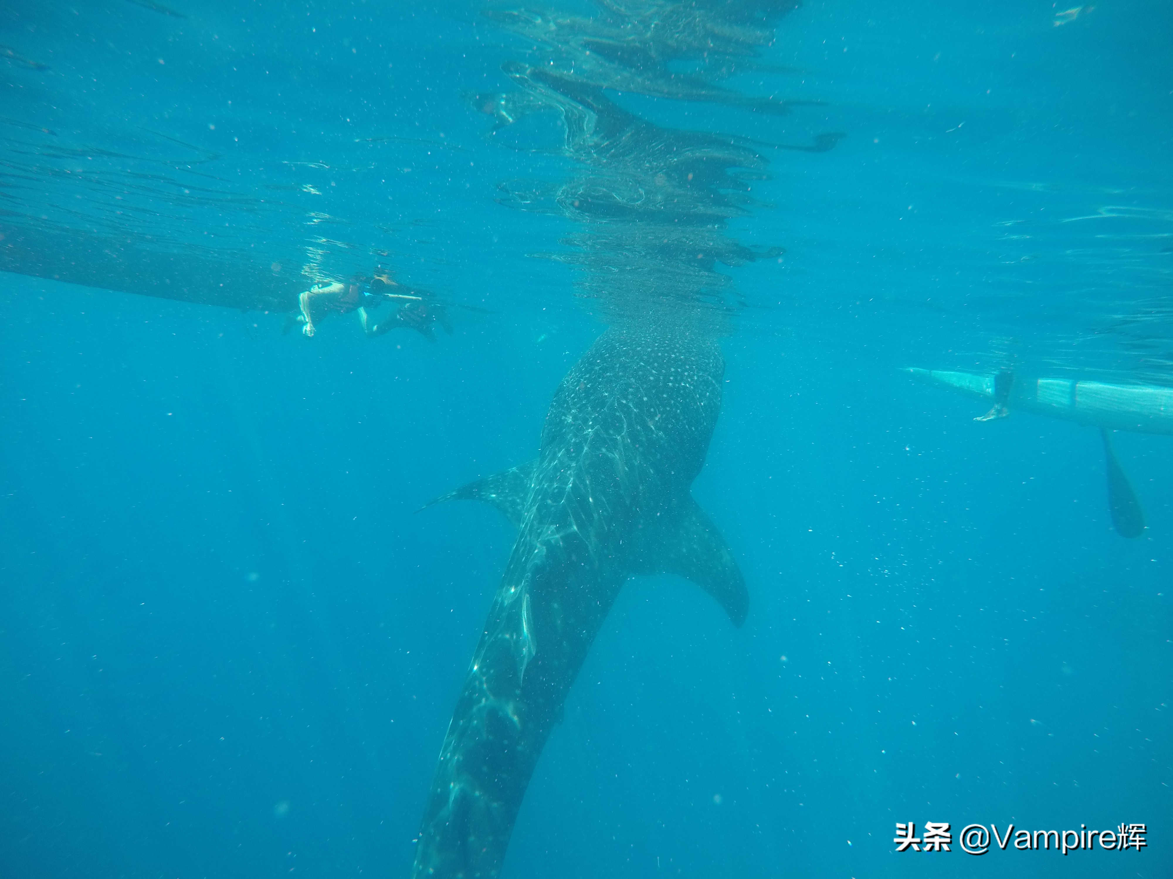 一起云旅游一日游,一起云旅行北极光