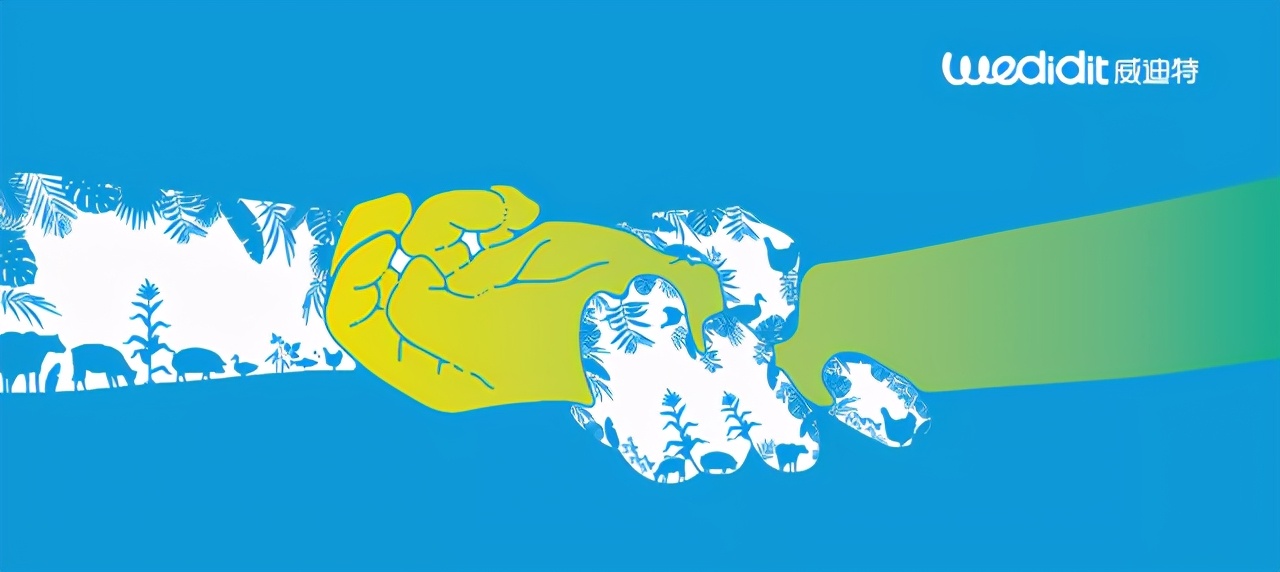 浅谈氧化锌的作用,氧化锌现状