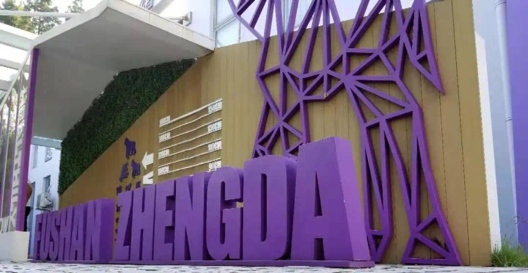 上海新晋10所黑马小学大盘点,上海最出名的十所小学