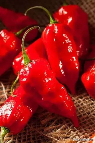 哪些人不能吃辣飞系列的药,有哪些人不能吃辣的