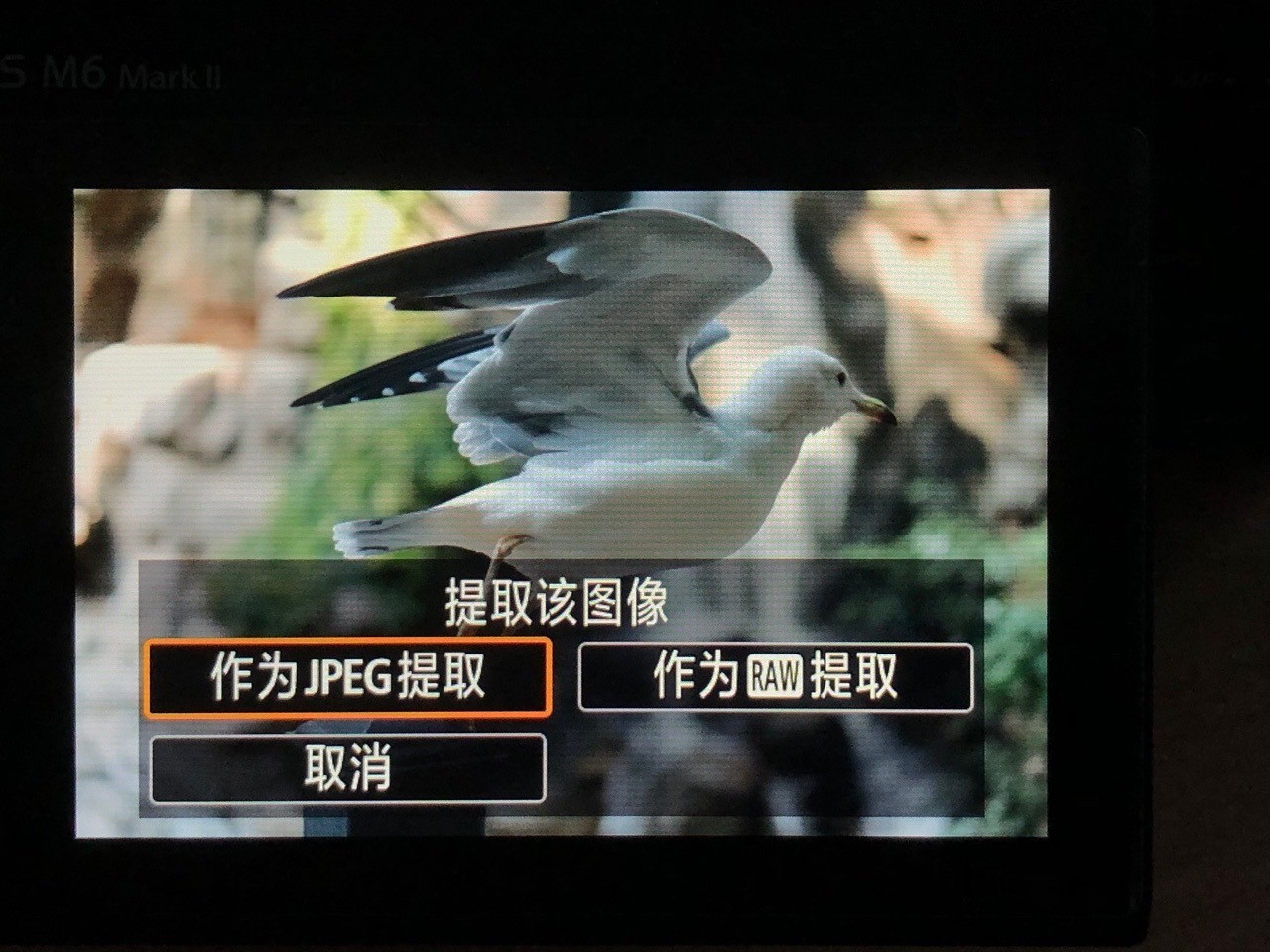 佳能apsc画幅eosr7已经开始测试了,eosm6markii教程