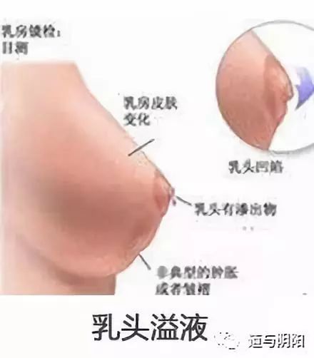 生命的源泉,生命的源泉完整视频