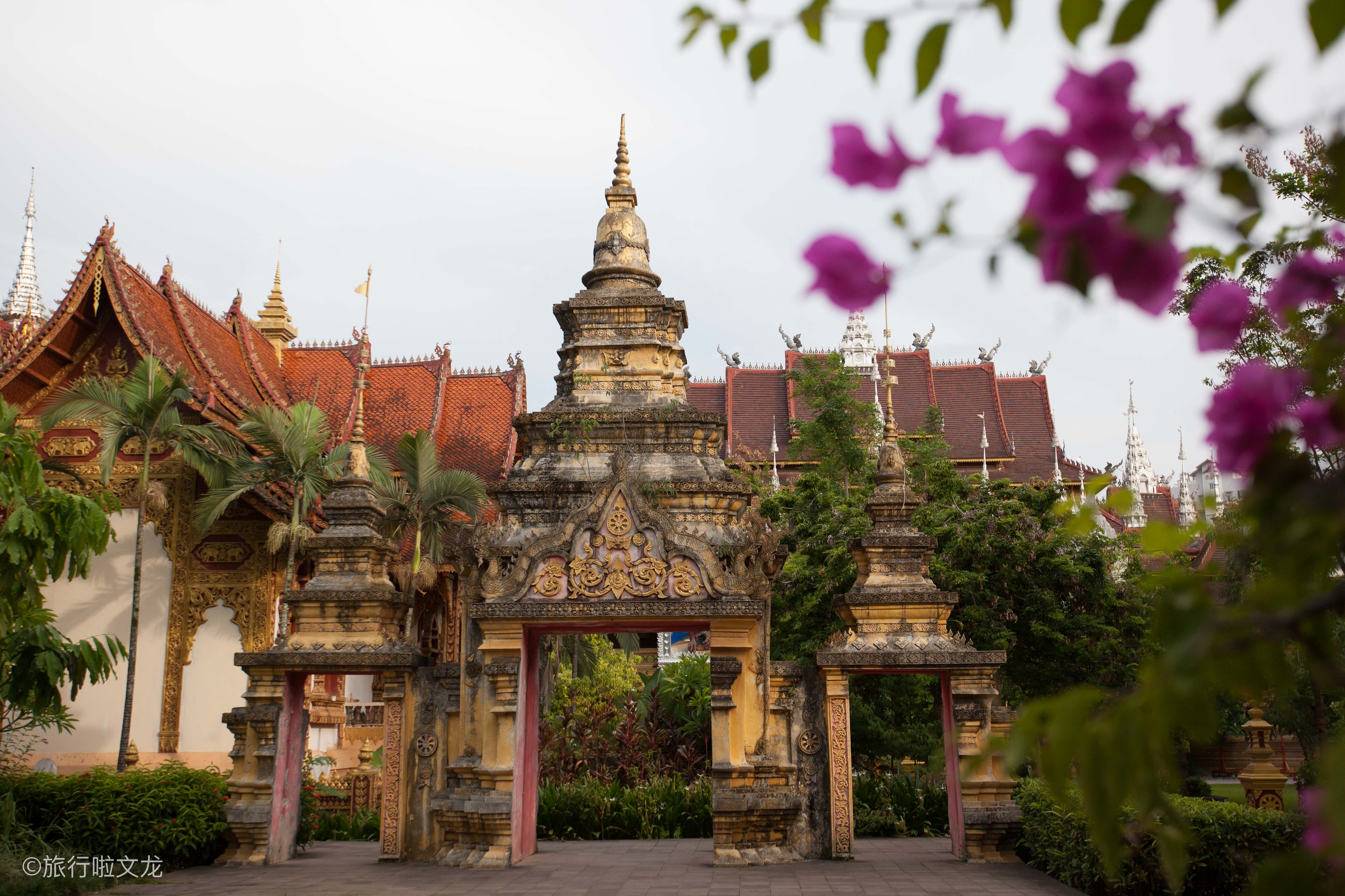 西双版纳旅游曼听公园人多吗,西双版纳怎么去曼听公园