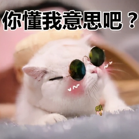 气质女生饰品,气质女神都戴这几种首饰