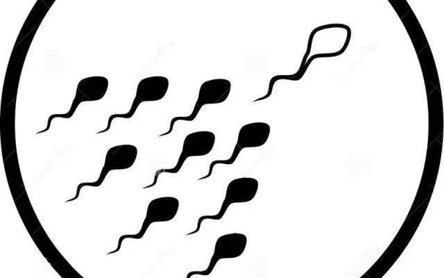 精子检查里面没有精子怎么治疗好,精子常规没问题就能生育吗