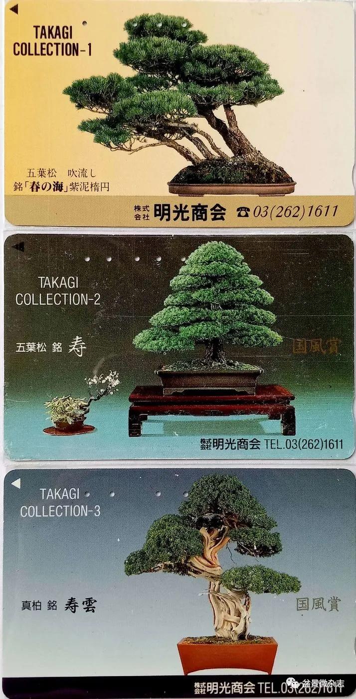 鐩嗘櫙鑱旂郴鐢佃瘽鍙风爜,涓鐩嗘櫙鑱旂郴鏂瑰紡