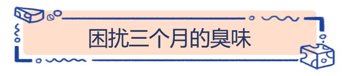 给秋天带来韵味的银杏树,在荷兰竟然人嫌狗不待见