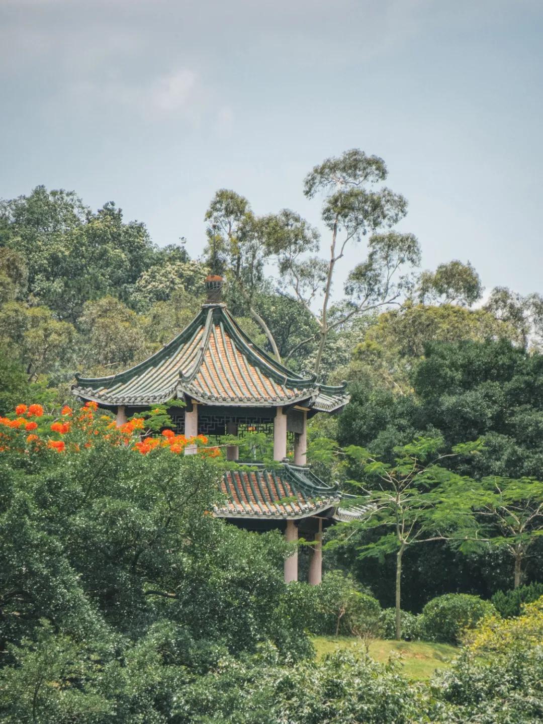 江门郊外散步,江门适合散步的地方