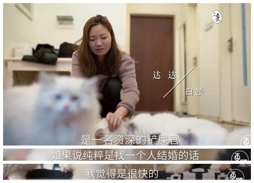 婚姻好比购物需要双向选择,幸福的婚姻不是靠财力来维持