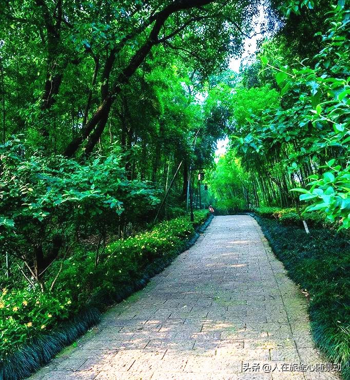 杭州拱墅区旅游景点推荐,拱墅区景点游览地图