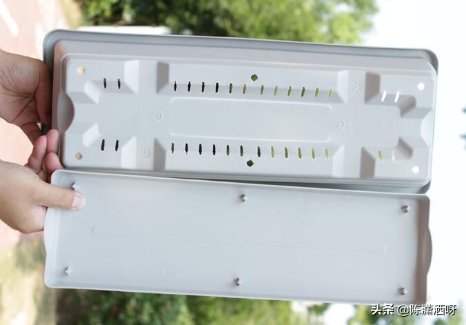 常见花卉花盆图片大全,各种花盆的优缺点图片介绍