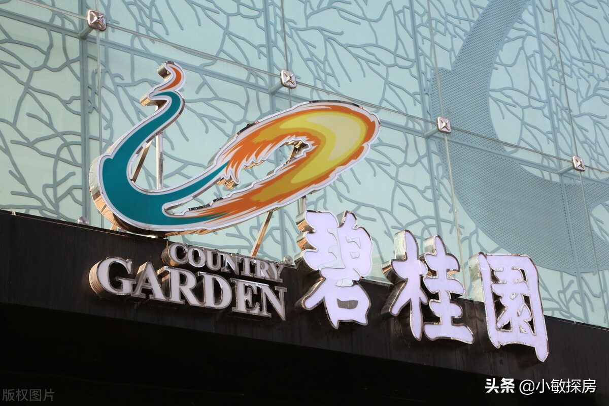 碧桂园南站新城是毛坯还是精装,碧桂园天麓是毛坯还是精装