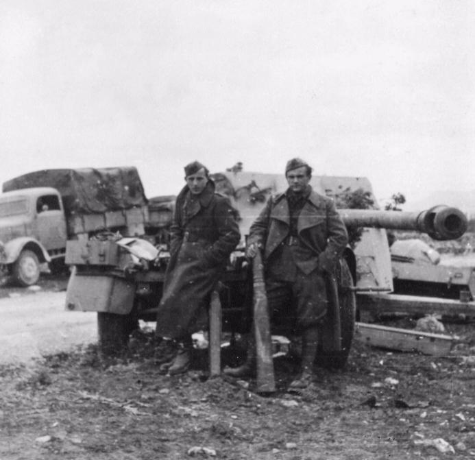 二战中德军王牌装甲,二战德国装甲战车图鉴