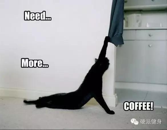 健身减脂塑形咖啡,健身减脂效果最好的补剂