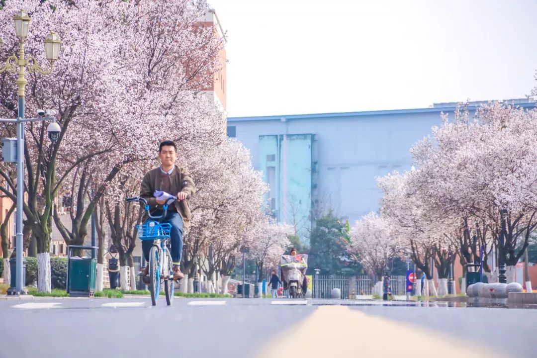 西南民大值得去读吗,西南民大是什么级别