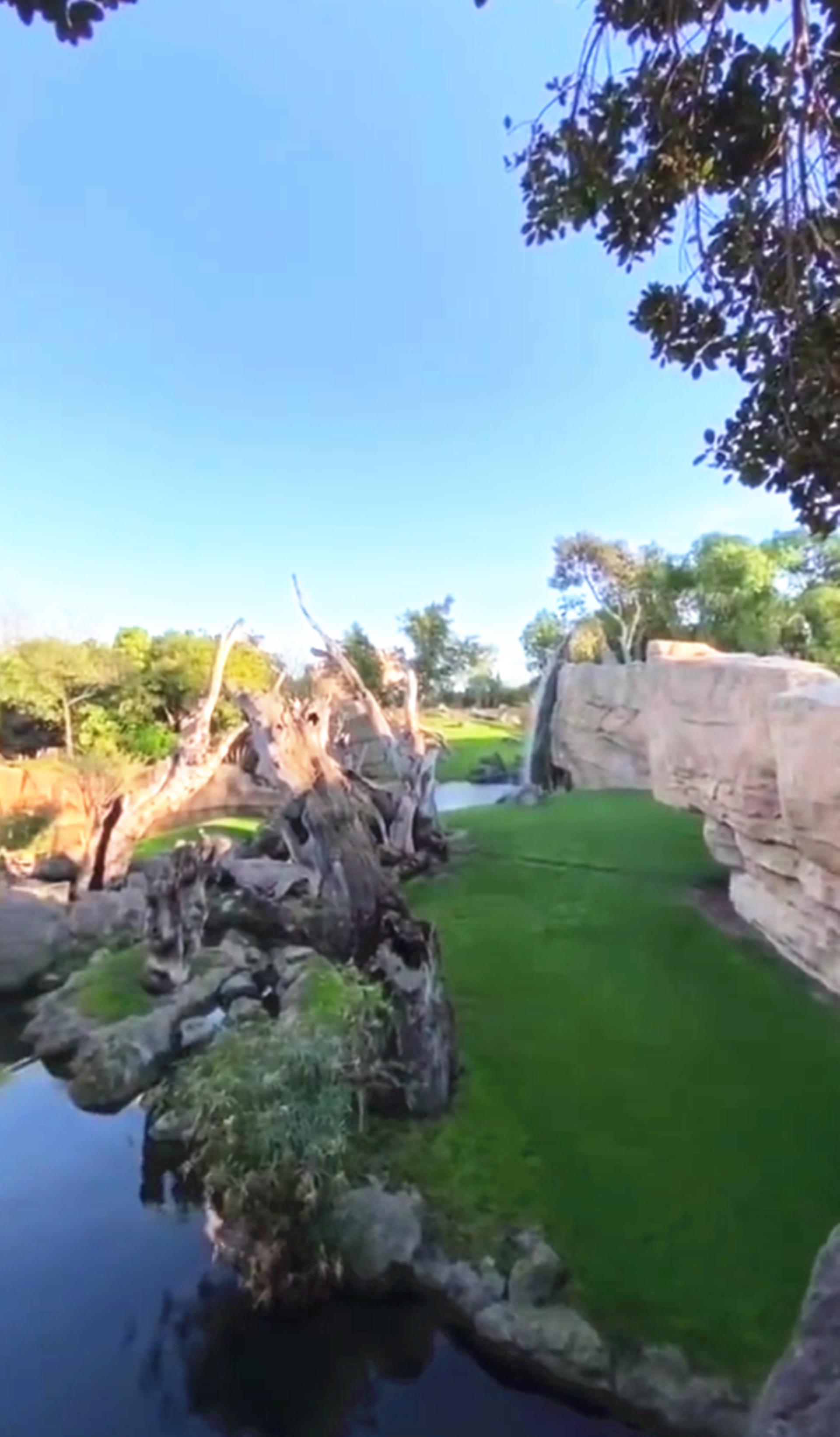 西班牙男子穿越事件,人类灭绝前影像