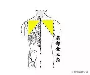 神奇的人体三角区，养好了，百病难扰