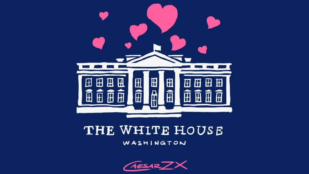 20年前,我是怎么被一家“白宫官网”欺骗的